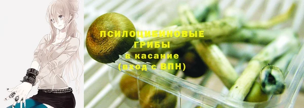 мяу мяу мука Магадан