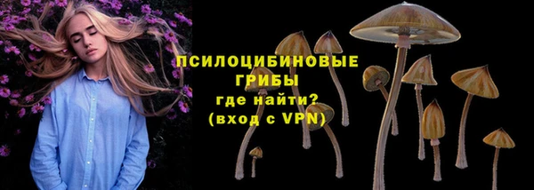 мяу мяу мука Магадан