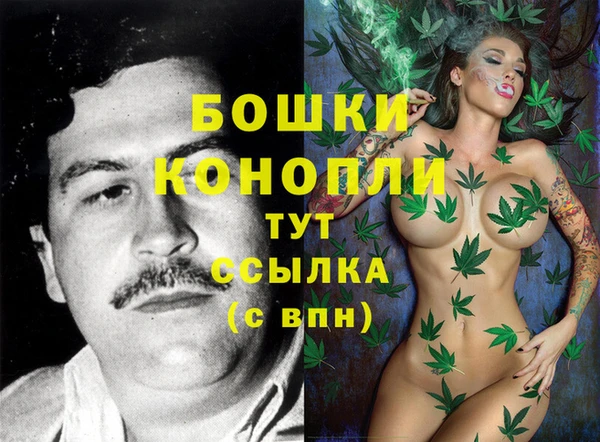 мяу мяу мука Магадан