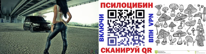 Галлюциногенные грибы GOLDEN TEACHER  блэк спрут маркетплейс  Томилино 